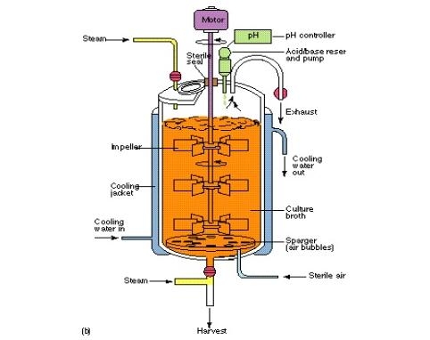 fermentation tank